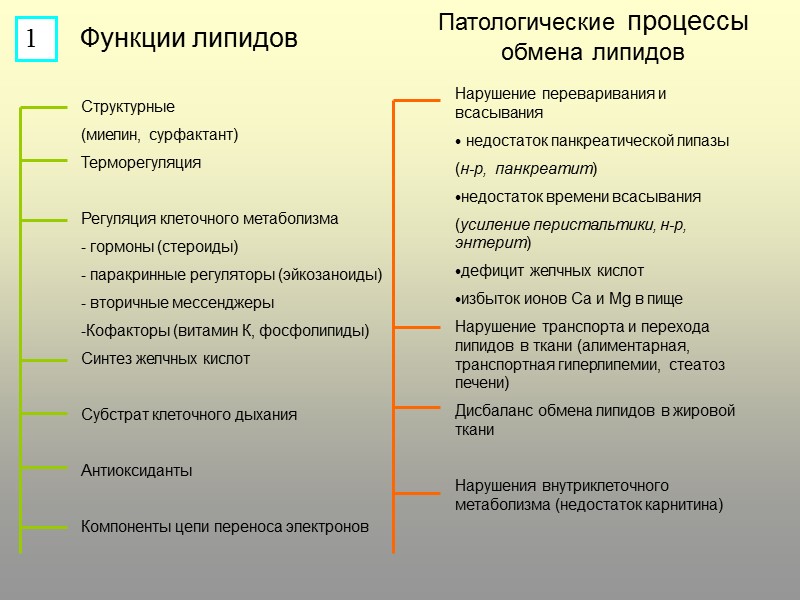Функции липидов Патологические процессы обмена липидов Структурные (миелин, сурфактант) Терморегуляция  Регуляция клеточного метаболизма